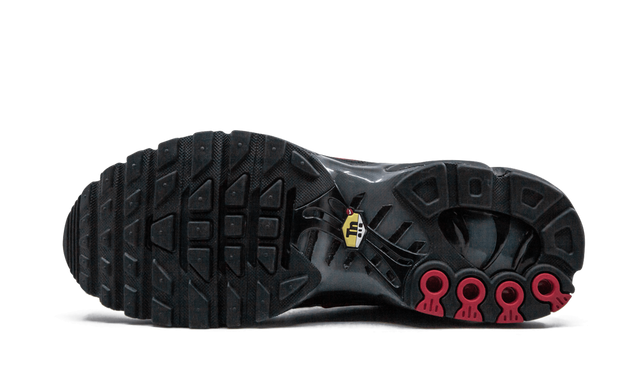 Nike Air Max Plus Blau und Rot 