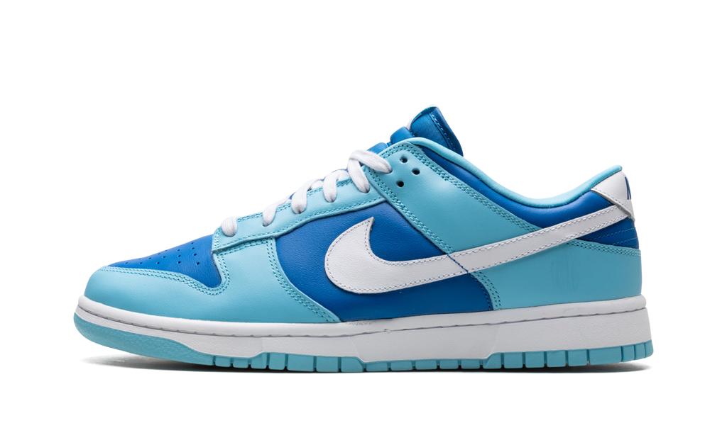 Nike Dunk Low Retro Argon 