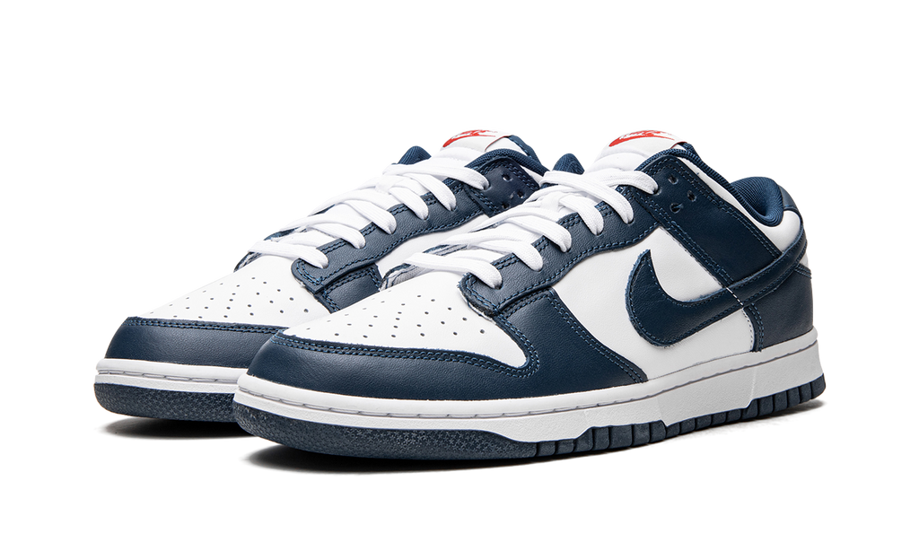 Nike Dunk Low Valerianblau