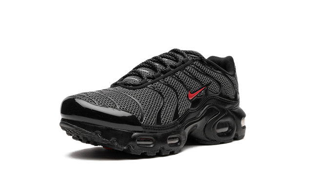 Nike Air Max Plus 