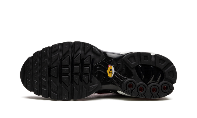 Air Max TN Plus „Dusk“