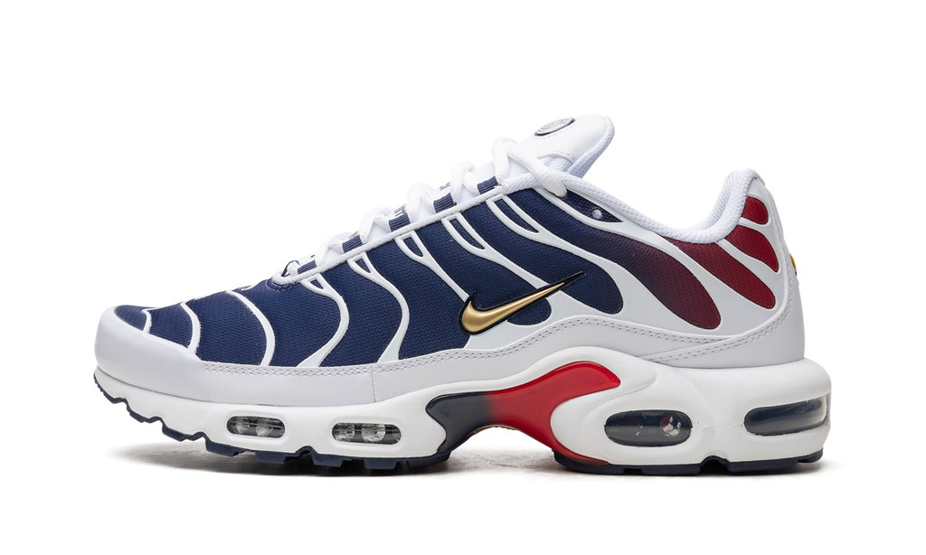 Air Max TN Plus PSG 