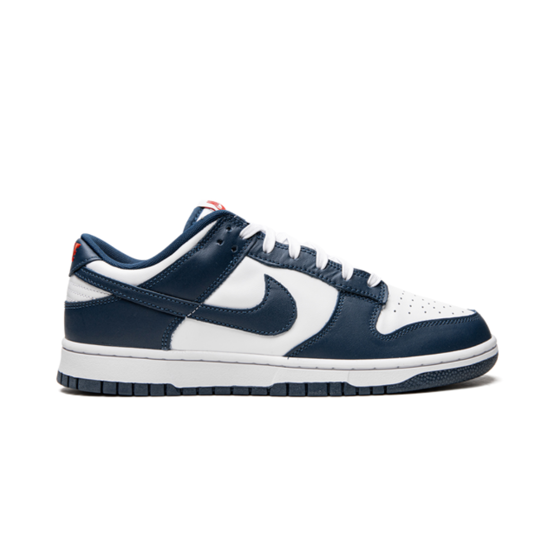 Nike Dunk Low Valerianblau