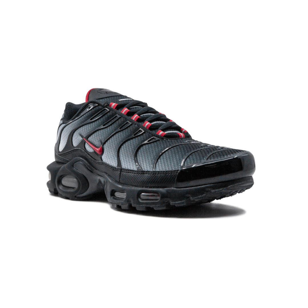 Nike Air Max Plus Blau und Rot 