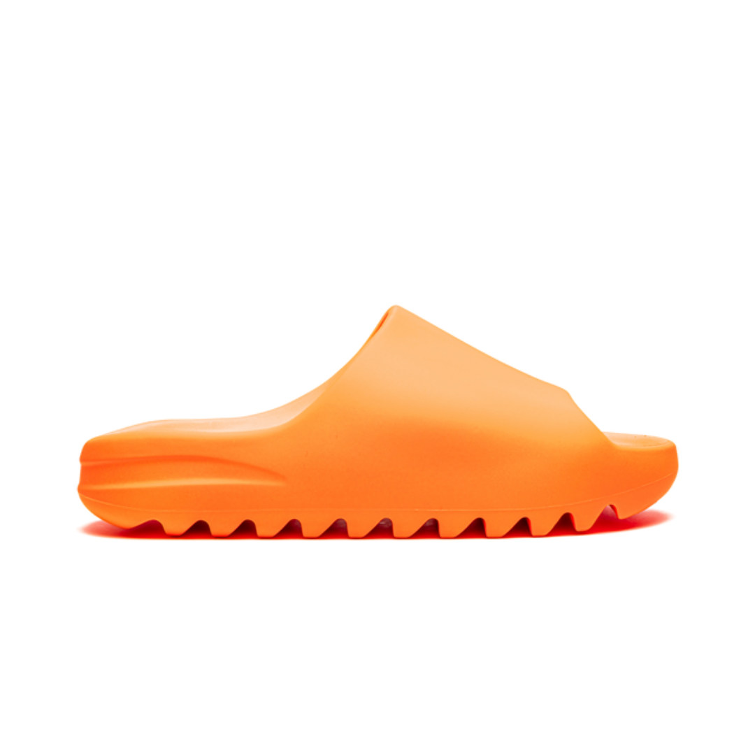 Designsemnome_29.png