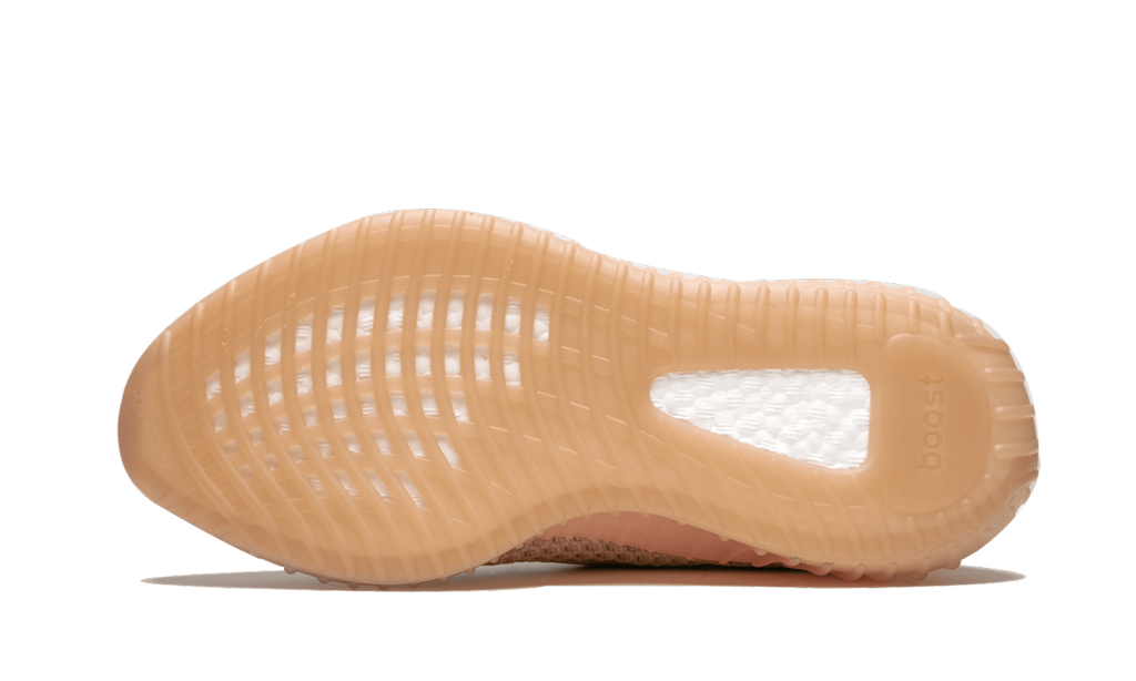 Adidas Yeezy Boost 350 V2 Clay 