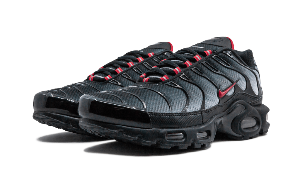 Nike Air Max Plus Blau und Rot 
