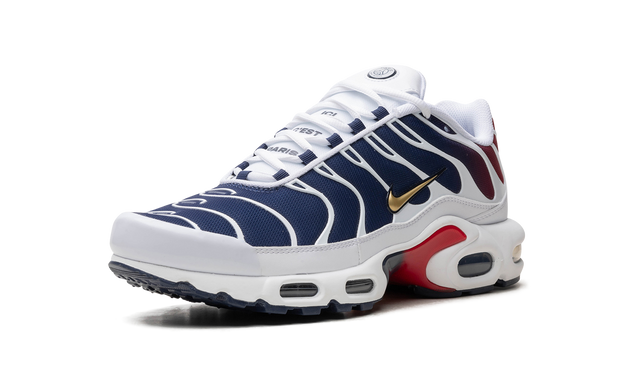 Air Max TN Plus PSG 