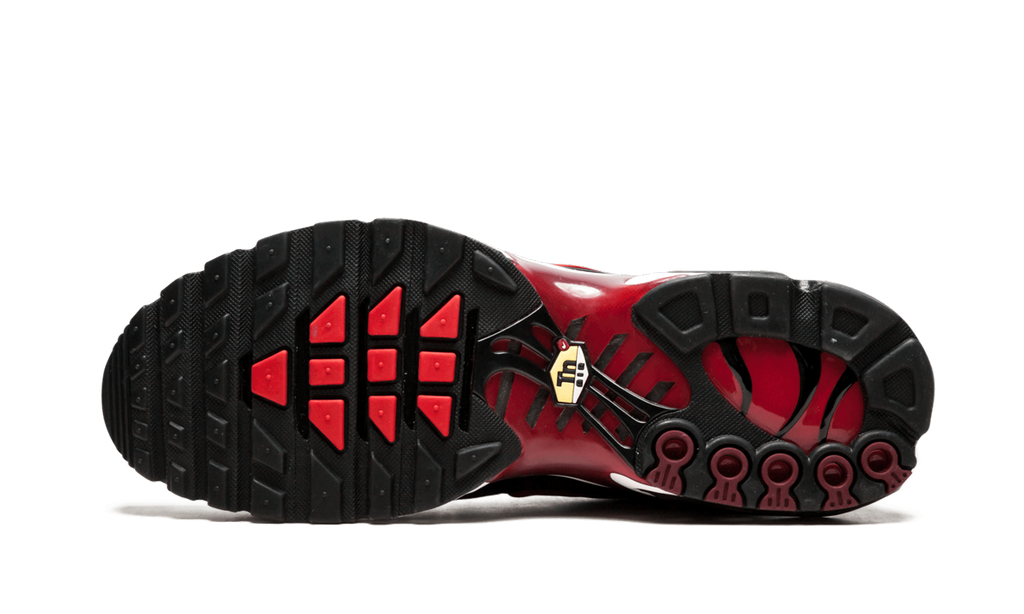 Nike Air Max Plus Schwarz und Rot 