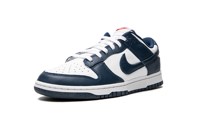 Nike Dunk Low Valerianblau