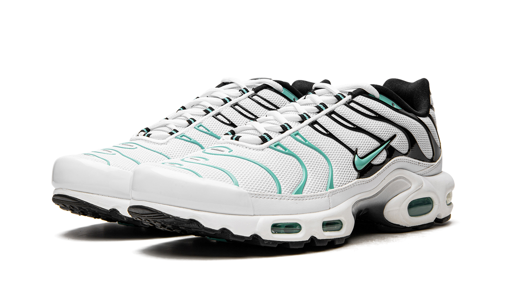 Nike Air Max Plus Atmos 