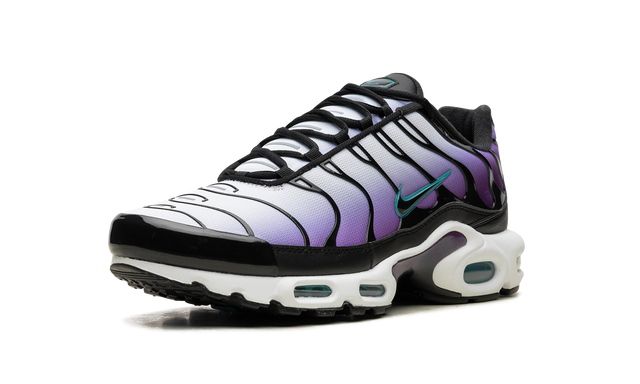Nike Air Max Plus Reverse Grape 
