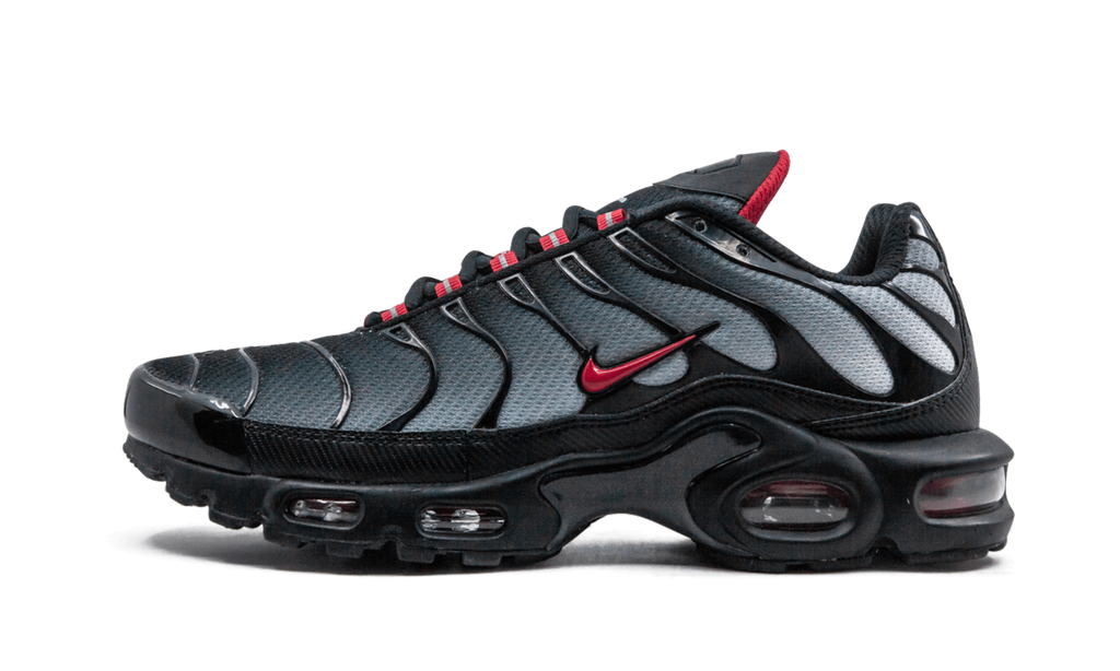 Nike Air Max Plus Blau und Rot 
