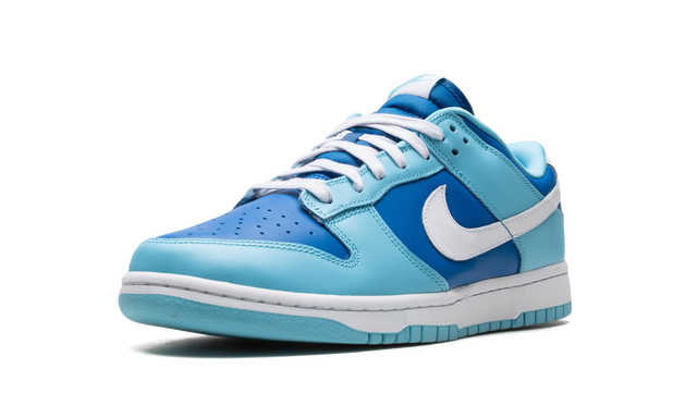 Nike Dunk Low Retro Argon 