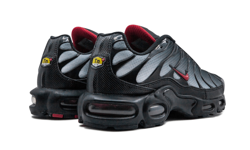 Nike Air Max Plus Blau und Rot 