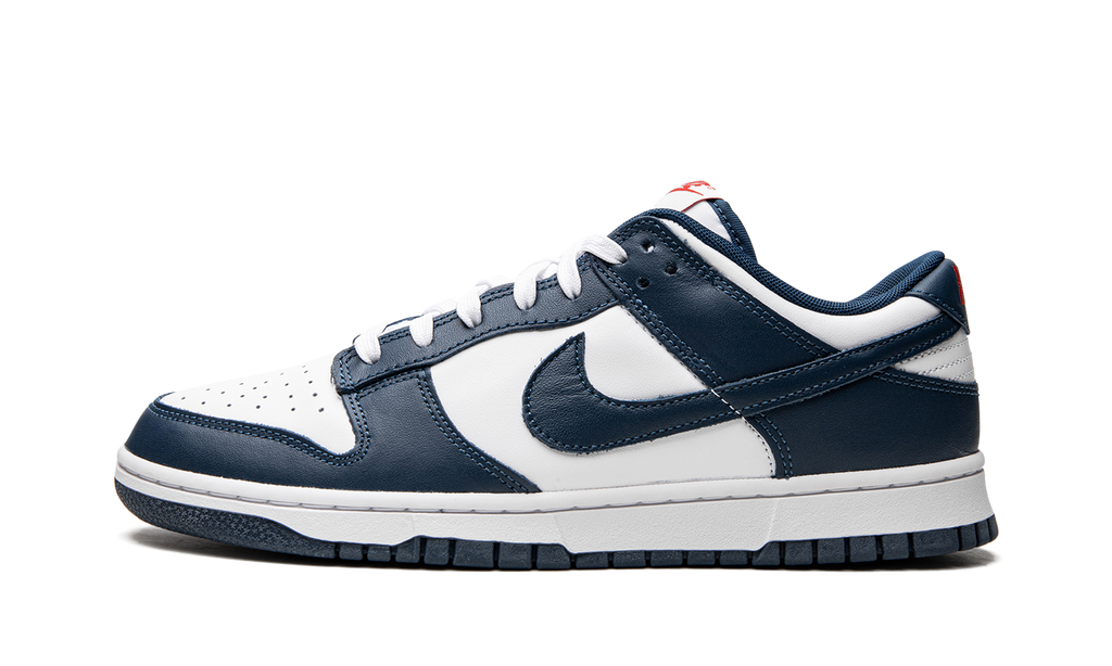 Nike Dunk Low Valerianblau