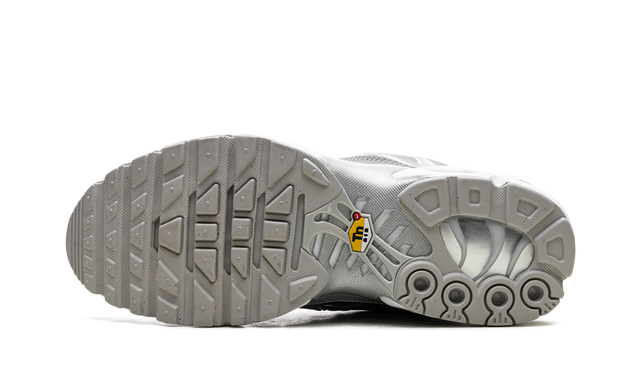 Nike Air Max Plus Metallic Silber 