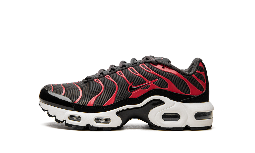 Nike Air Max Plus 