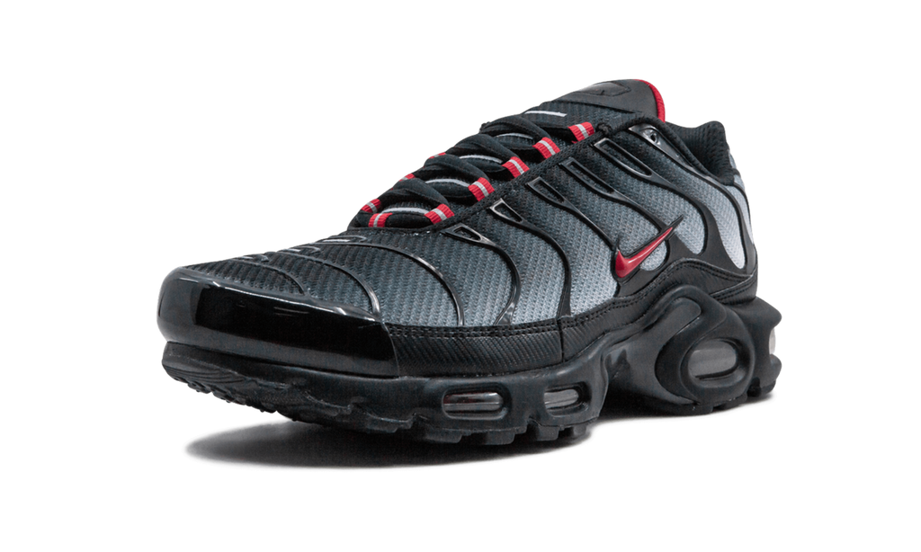 Nike Air Max Plus Blau und Rot 